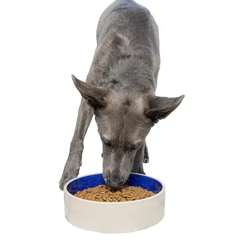 Spot stoneware crock dog dish in blue with high gloss finish, 9.5-inch diameter