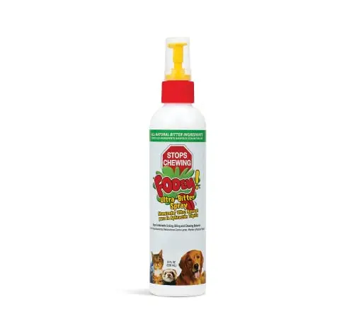 Fooey! Ultra-Bitter Training Aid Spray bottle held by a person