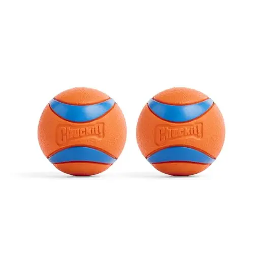Two orange Chuckit! Ultra Balls with textured surface, medium size