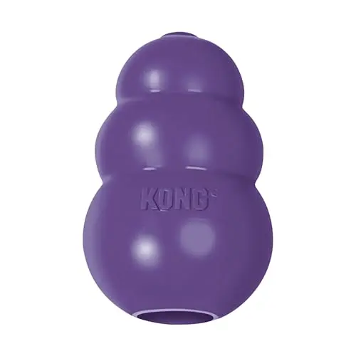 KONG Senior dog toy for older large dogs with sensitive teeth