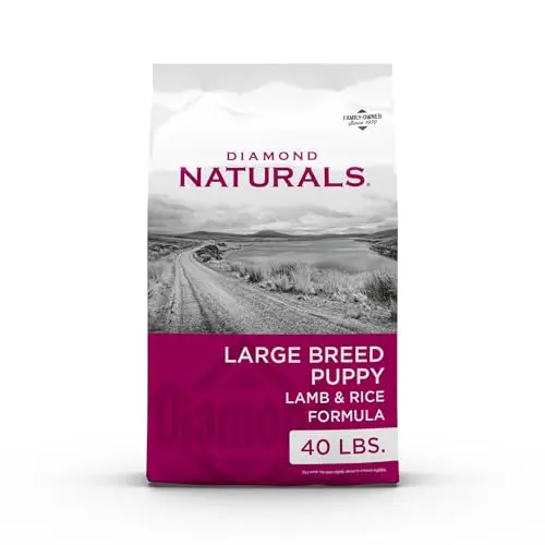 Diamond Naturals Large Breed Puppy Lamb and Rice Dry Dog Food bag