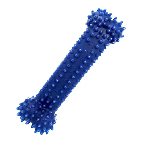 Nylabone petite chicken-flavoured dental chew bone for extra small dogs