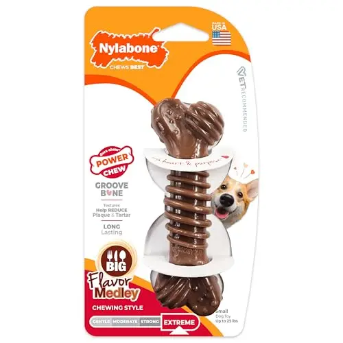 Nylabone Textured Bone, Small Dog Chew Toy, Natural, Regular/Small