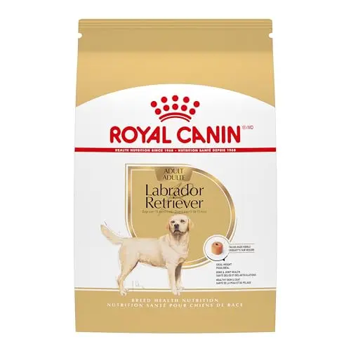 Royal Canin Labrador Retriever Adult dry dog food bag