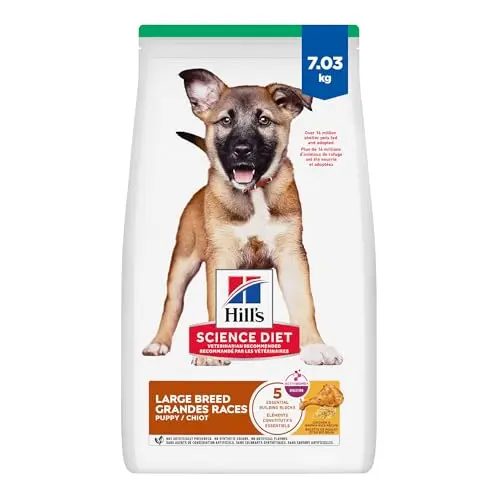 Bag of Hill's Science Diet Large Breed Puppy Chicken & Brown Rice dry food