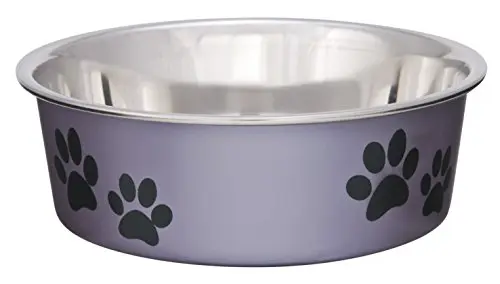 Loving Pets Bella Bowl in grape purple with stainless steel interior