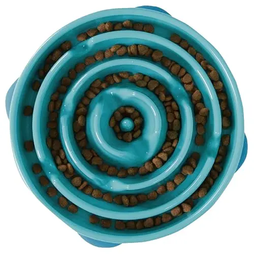 Outward Hound Fun Feeder Slo Bowl large turquoise