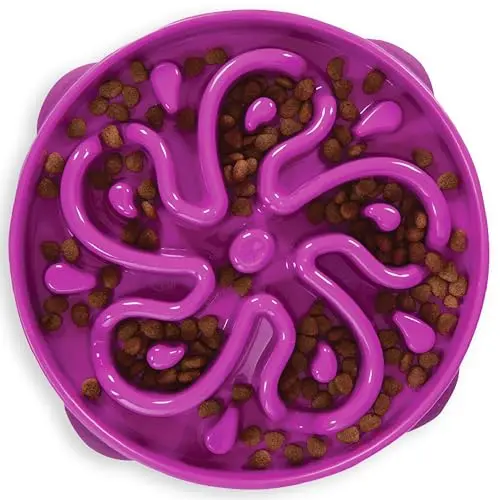 Outward Hound Fun Feeder Slo Bowl large slow feeder dog bowl in purple