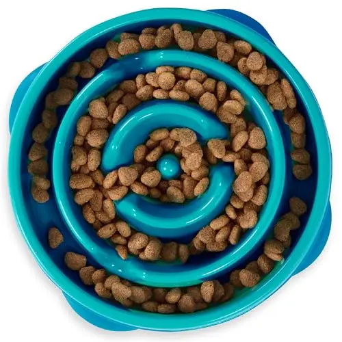 Outward Hound Fun Feeder Slo Bowl medium turquoise