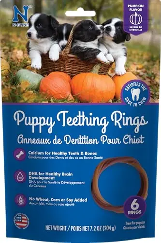 N-Bone puppy teething ring in pumpkin flavor, six-pack