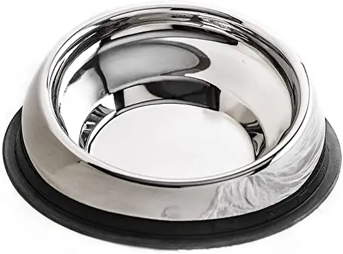 Silver stainless steel tilted dog bowl with vertical ridge