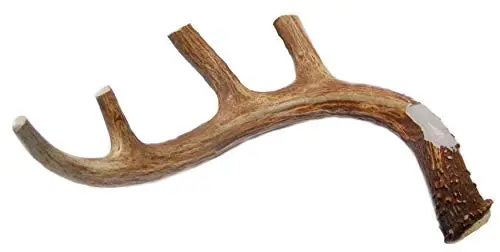 Big Dog Antler Chews XL deer antler dog chew toy