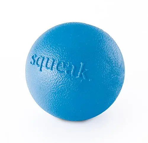 Blue medium-sized Planet Dog Orbee-Tuff squeak ball with mint scent