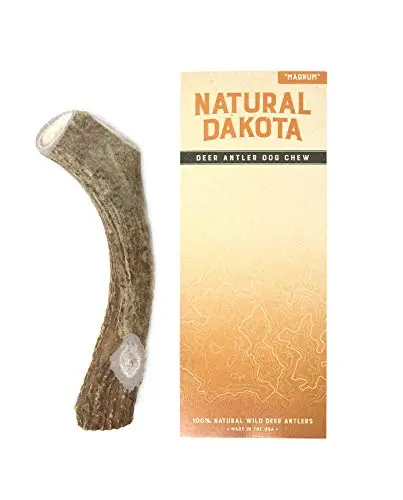 Natural Dakota Magnum X-Large deer antler chew toy for dogs