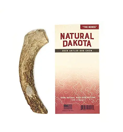 Natural Dakota The Boner Large deer antler dog chew toy