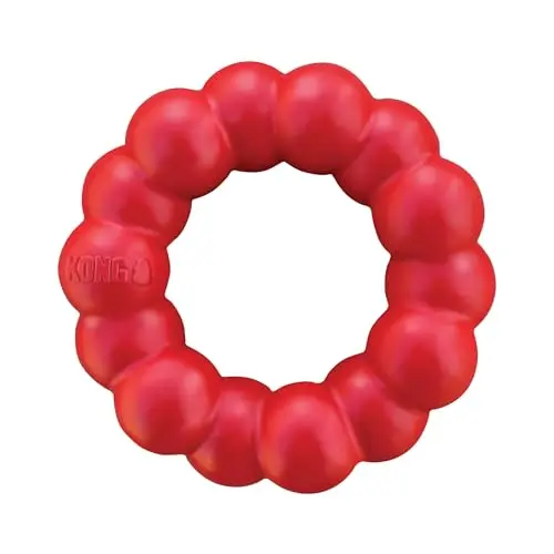 KONG Ring dog chew toy for small and medium dogs