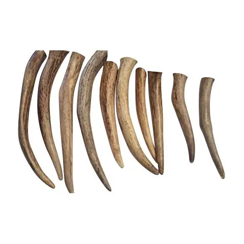 by chews for dogs 10 pack premium Canadian antler tines dog chew toy
