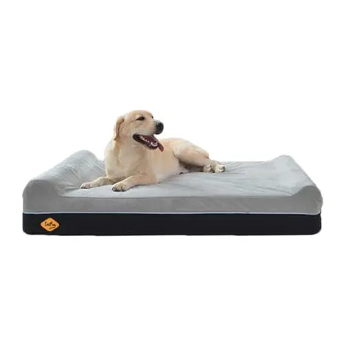 LaiFug Orthopedic Memory Foam Extra Large Dog Bed