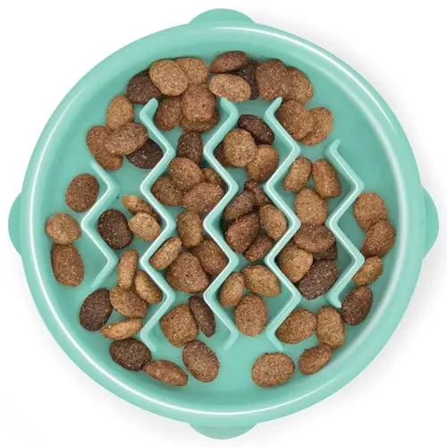 Mint green small slow feeder dog bowl with maze pattern