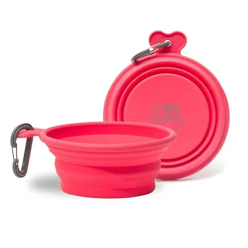 Small watermelon-pattern collapsible dog bowl from Messy Mutts