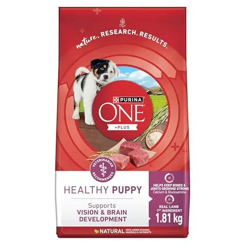 Purina ONE Healthy Puppy dry dog food bag