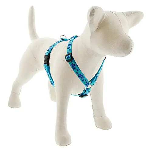 LupinePet Originals 3/4-inch Roman Harness in Turtle Reef turquoise for medium dogs