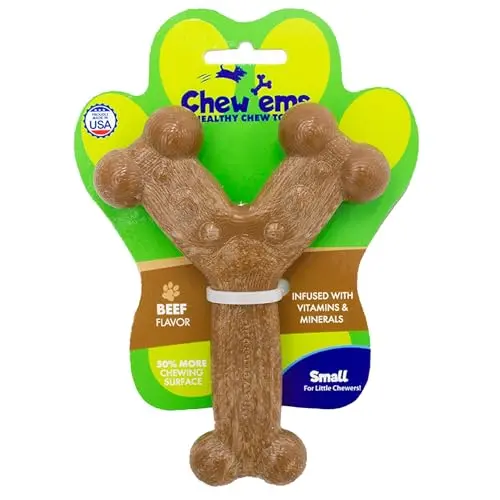 Chew'ems small Y-shaped beef-flavoured nylon bone chew toy