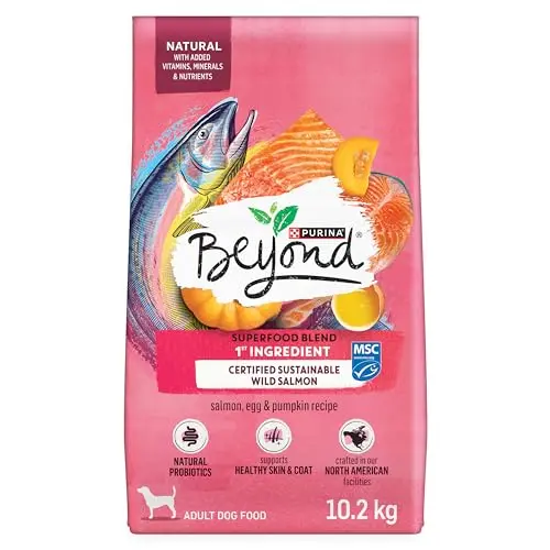 Beyond Superfood Blend Salmon, Egg & Pumpkin dry dog food large bag