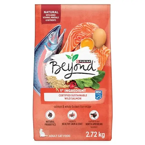 Beyond Simply Natural Dry Cat Food, Salmon & Whole Brown Rice bag
