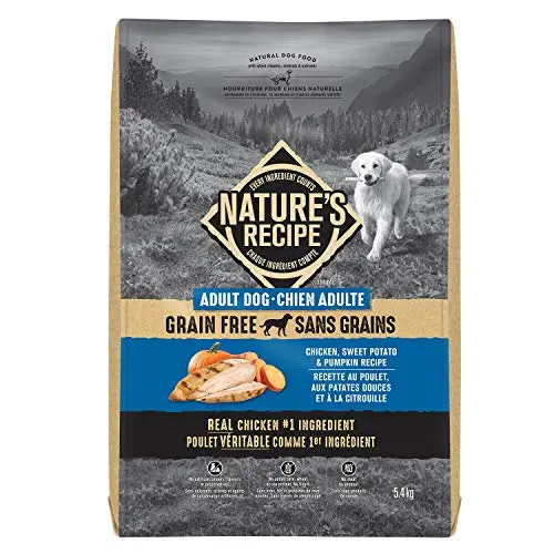 Nature's Recipe Grain Free Chicken, Sweet Potato & Pumpkin dry dog food bag