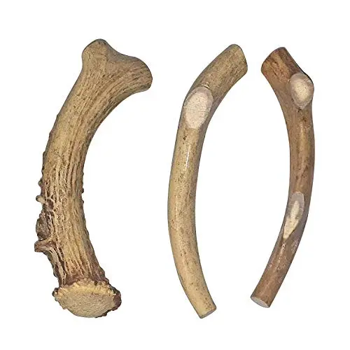 by chews for dogs 3 pack medium Canadian antler dog chew toy