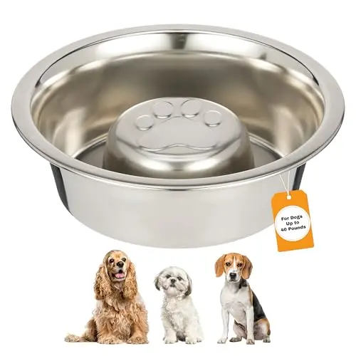 Neater Pet Brands stainless steel slow feed bowl