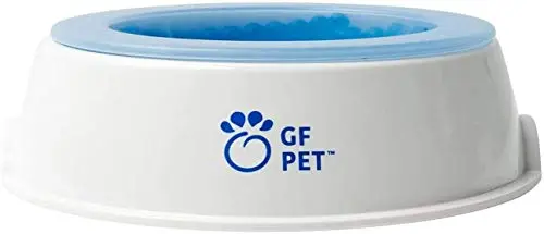 GF Pet Ice Bowl white with blue gel insert in kitchen