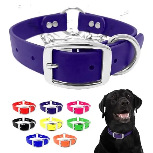 Regal Dog Products purple waterproof chew-resistant dog collar with double buckle