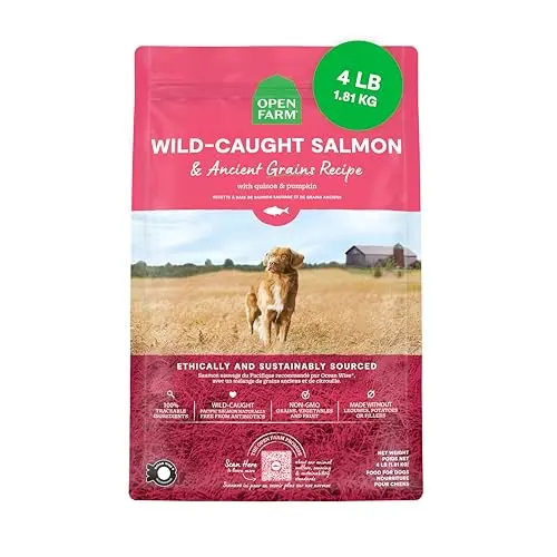 Open Farm Ancient Grains Wild Salmon dry dog food bag