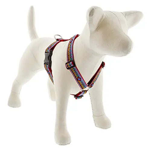 Lupine 1-inch Roman Harness in El Paso design for large dogs