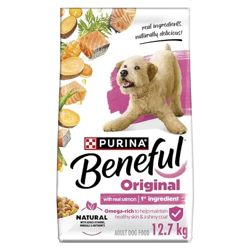 Beneful Originals Real Salmon dry dog food bag