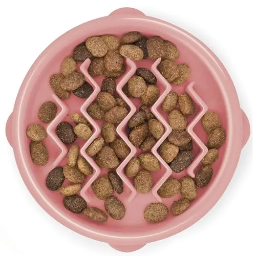 Pink Outward Hound Fun Feeder Slo Bowl small dog slow feeder with maze pattern