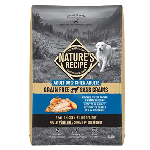 Nature's Recipe grain free dry dog food bag with chicken, sweet potato and pumpkin