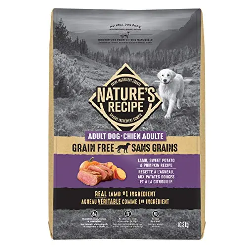 Nature's Recipe Grain Free Lamb, Sweet Potato & Pumpkin dog food bag