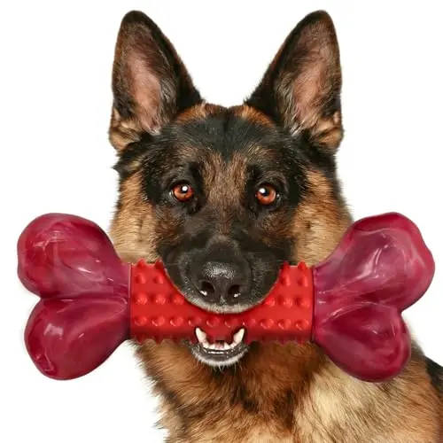 Apasiri Tough Dog Bone chew toy in red, displaying dual-texture nylon and rubber surface