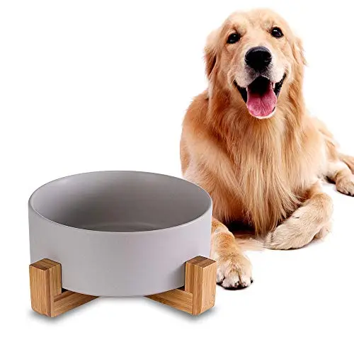 HCHLQLZ green ceramic dog bowl with bamboo stand on a hardwood floor
