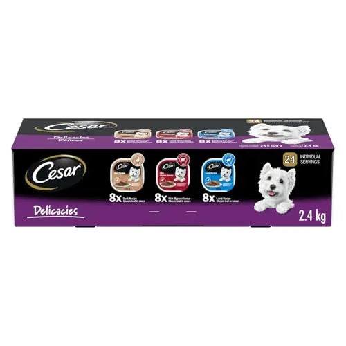 CESAR Classic Loaf in Sauce Adult Wet Dog Food Delicacies Variety Pack tray display