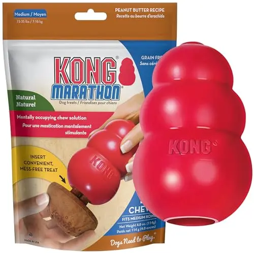 KONG Classic red dog toy with peanut butter treats
