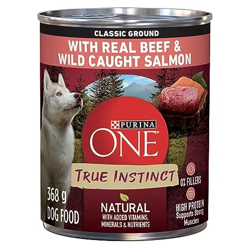 Purina ONE beef and salmon wet dog food can