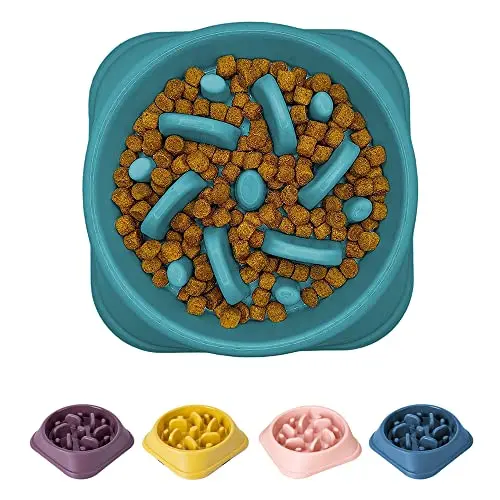 Green maze-pattern slow feeder dog bowl for English bulldogs