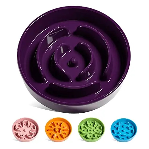 LE TAUCI purple ceramic slow feeder dog bowl with maze pattern