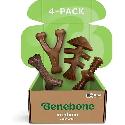 Benebone 4-pack of durable nylon dog chew toys in wishbone, fishbone, stick, and Zaggler shapes.