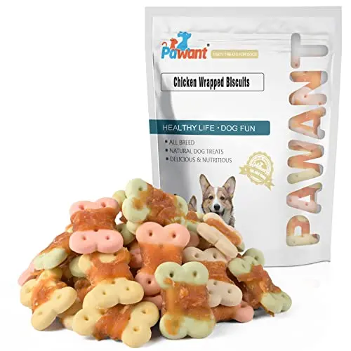 Pawant small dog treat, biscuit wrapped in chicken, held in hand to show size