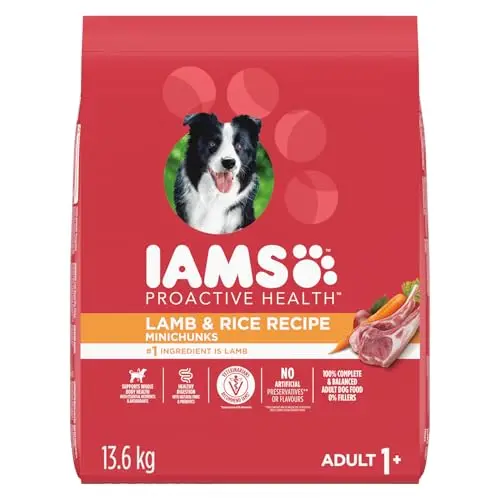 IAMS Proactive Health Minichunks Lamb & Rice large bag of dry dog food